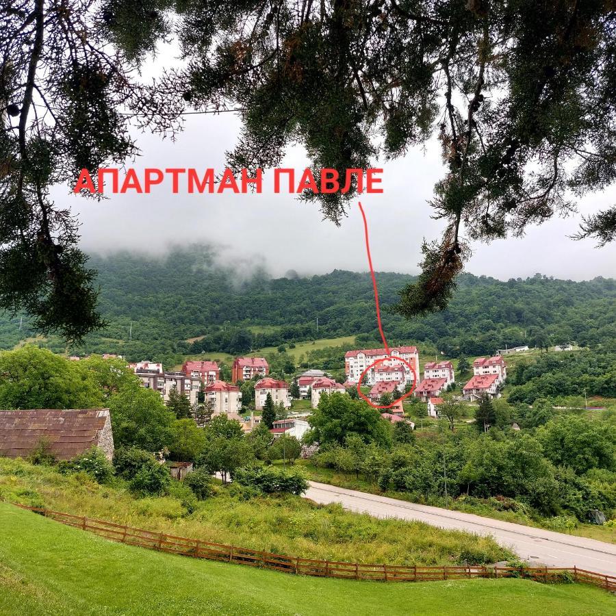 Apartman Pavle ปลูชิเน ภายนอก รูปภาพ