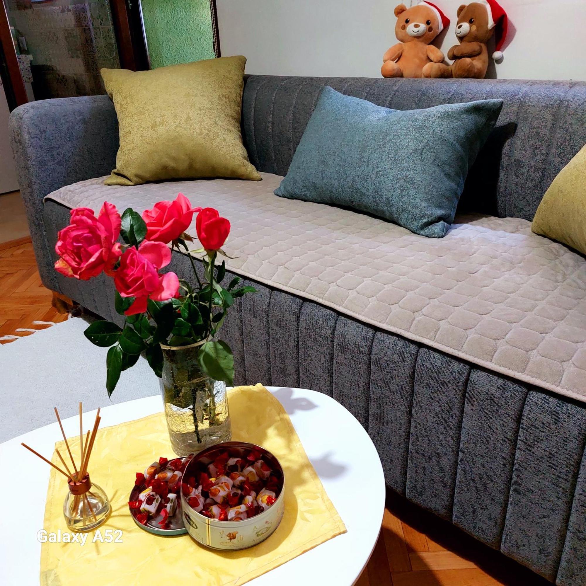 Apartman Pavle ปลูชิเน ภายนอก รูปภาพ