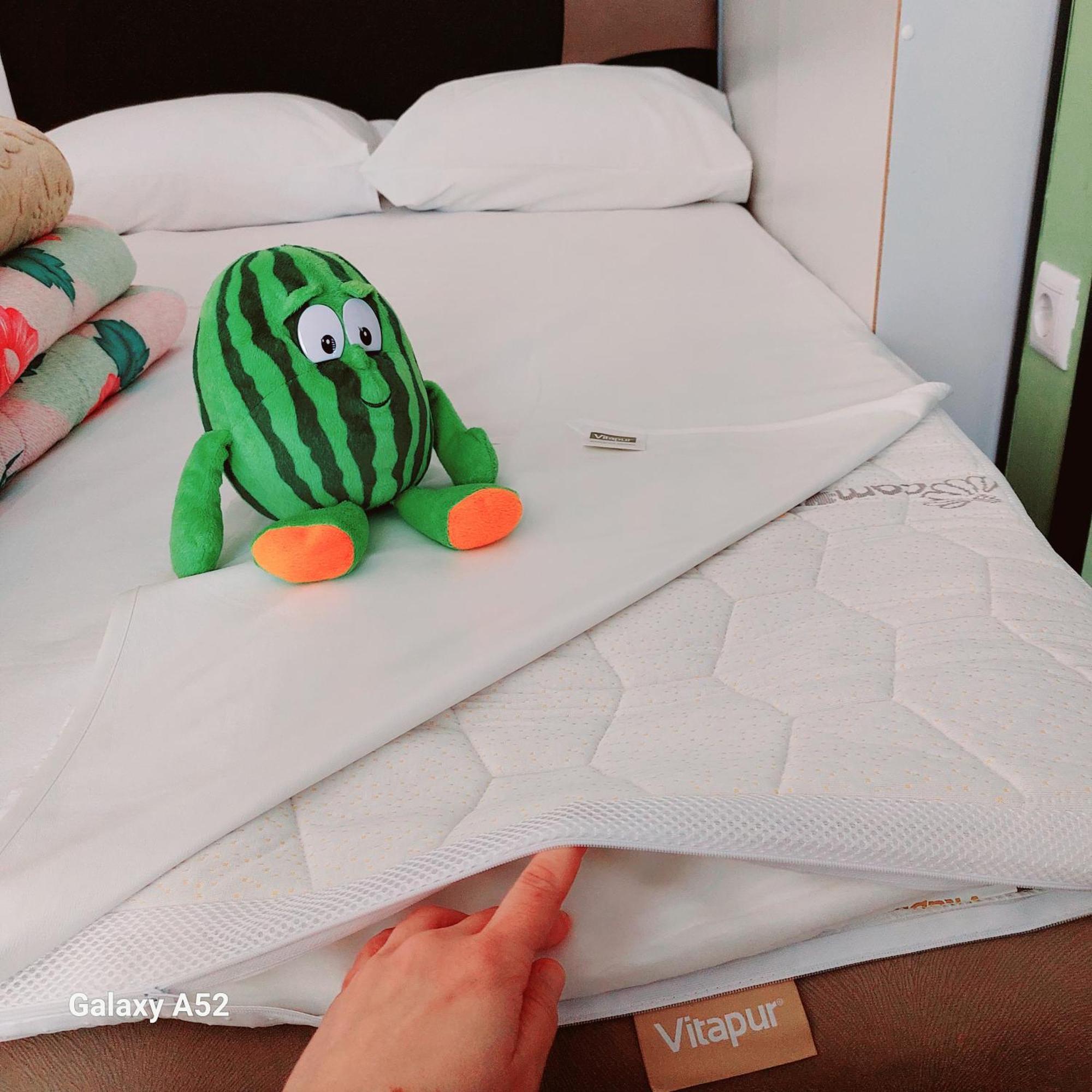 Apartman Pavle ปลูชิเน ภายนอก รูปภาพ